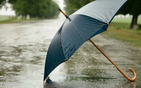 雨の道に置かれた開いた傘